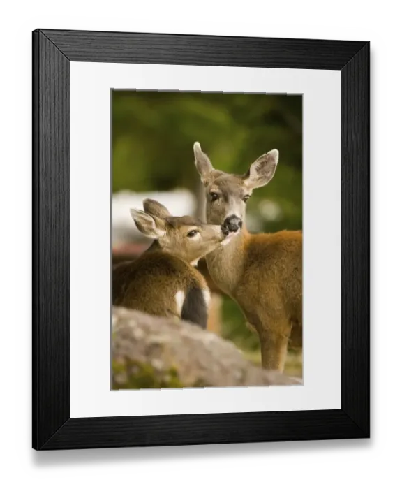 Framed Print : USA, North America, Washington Framed Print : USA, North America, Washington