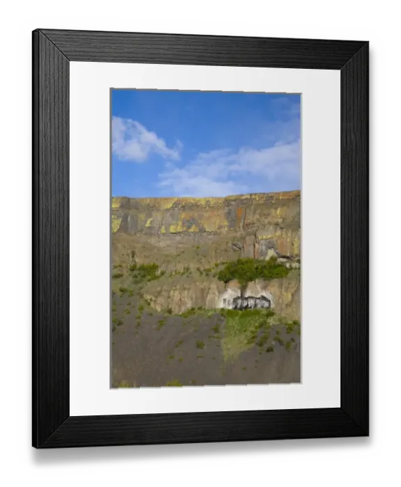 Framed Print : WA, Grant County, near Electric City, Upper Grand Coulee, colorful lichen on volcanic Framed Print : WA, Grant County, near Electric City, Upper Grand Coulee, colorful lichen on volcanic