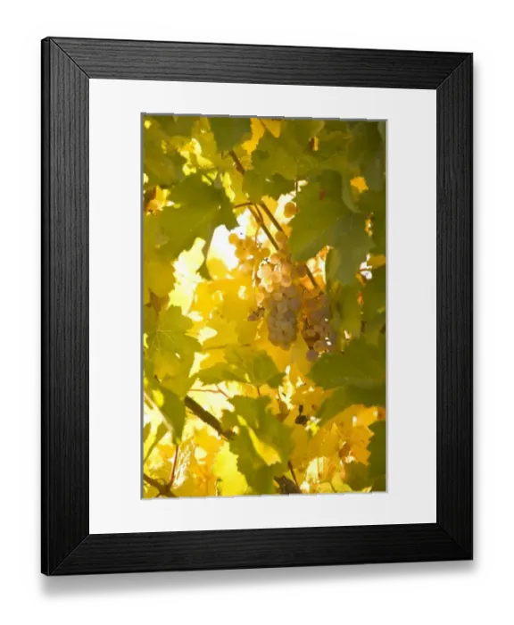 Framed Print : USA, North America, Washington
