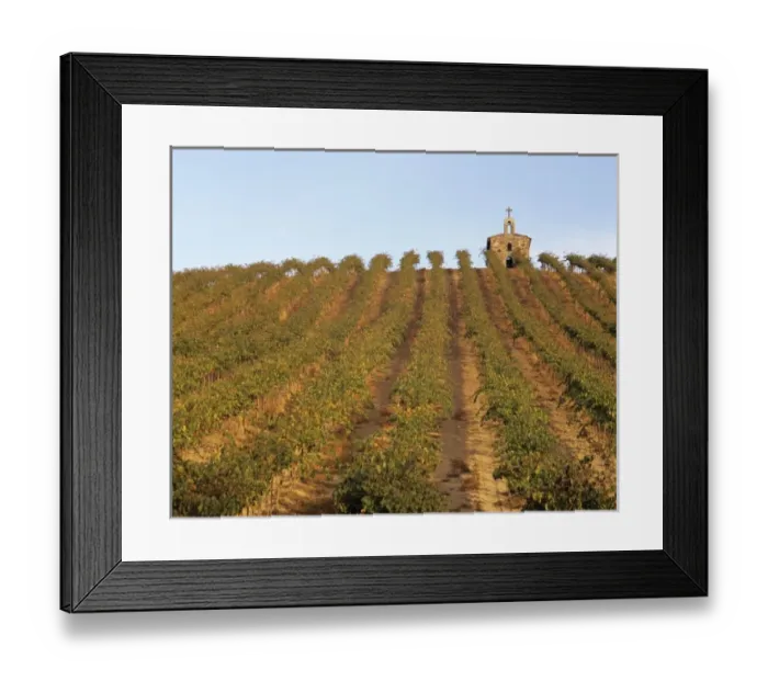 Framed Print : WA, Yakima County, Yakima Valley, Red Willow vineyard with stone chapel Framed Print : WA, Yakima County, Yakima Valley, Red Willow vineyard with stone chapel