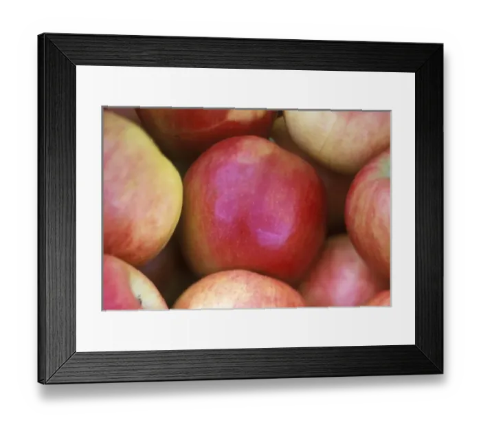 Framed Print : N. A. Washington, Methow Valley, Apples (selective focus) Framed Print : N. A. Washington, Methow Valley, Apples (selective focus)