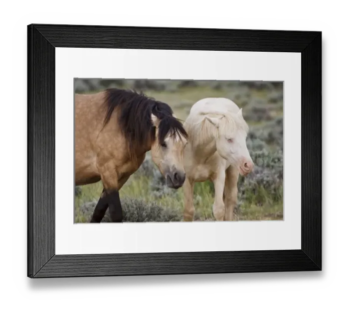 Framed Print : USA, North America, Wyoming Framed Print : USA, North America, Wyoming