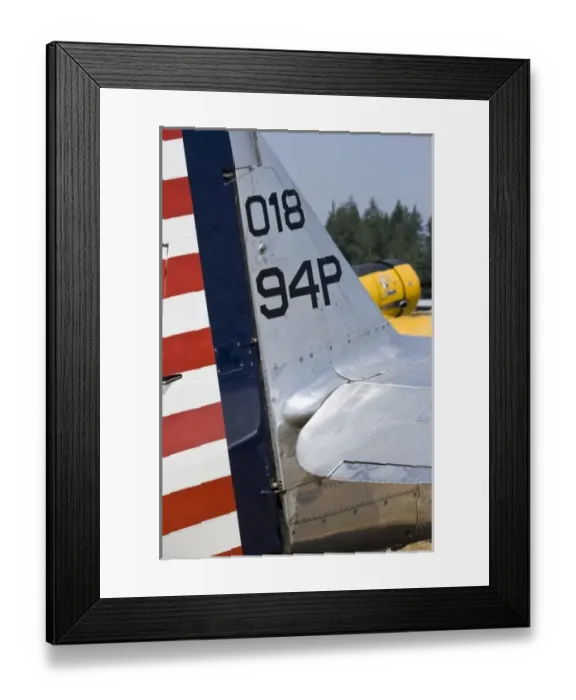 Framed Print : WA, Arlington, Arlington Fly-in, World War II military show