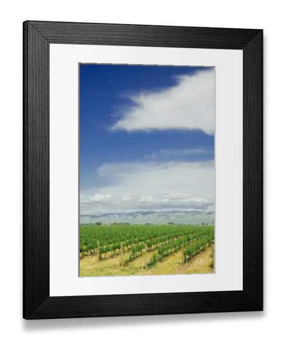 Framed Print : USA, Washington Framed Print : USA, Washington