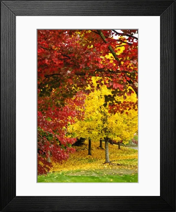 Framed Print : USA, Washington Framed Print : USA, Washington
