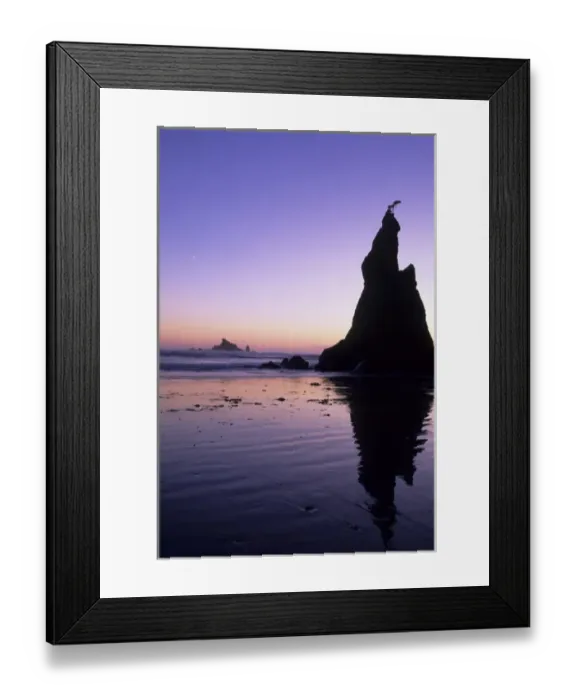 Framed Print : Sea stacks and reflections at sunset, Rialto Beach, Olympic National Park, Washington Framed Print : Sea stacks and reflections at sunset, Rialto Beach, Olympic National Park, Washington