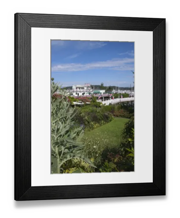 Framed Print : USA, Washington State, San Juan Islands, Roche Harbor Framed Print : USA, Washington State, San Juan Islands, Roche Harbor