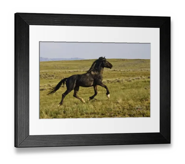 Framed Print : USA, North America, Wyoming Framed Print : USA, North America, Wyoming