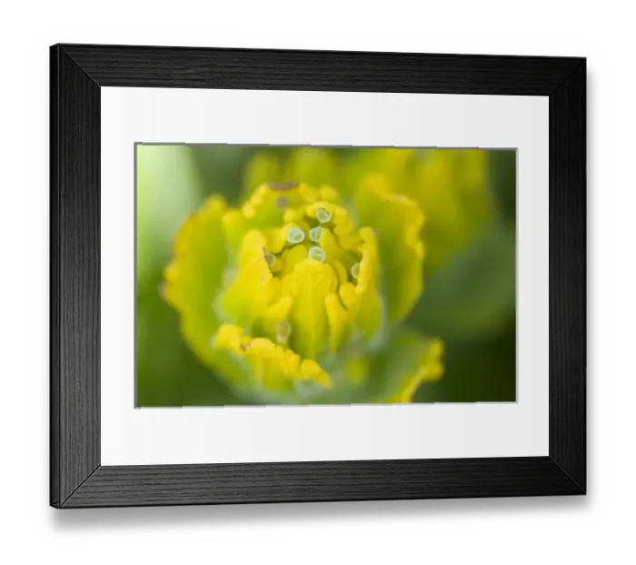 Framed Print : USA, North America, Washington