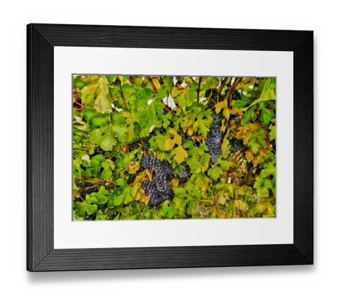 Framed Print : USA, North America, Washington Framed Print : USA, North America, Washington