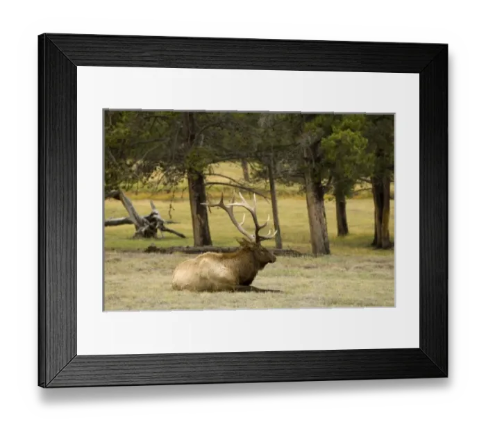 Framed Print : USA, North America, Wyoming Framed Print : USA, North America, Wyoming