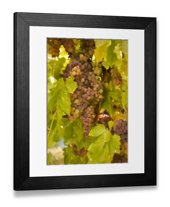 Framed Print : USA, North America, Washington Framed Print : USA, North America, Washington