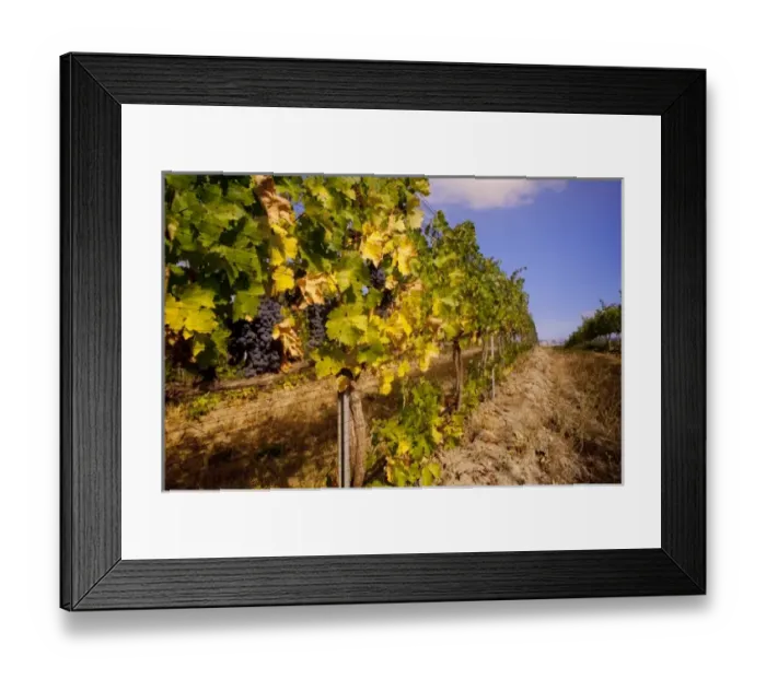 Framed Print : USA, North America, Washington Framed Print : USA, North America, Washington