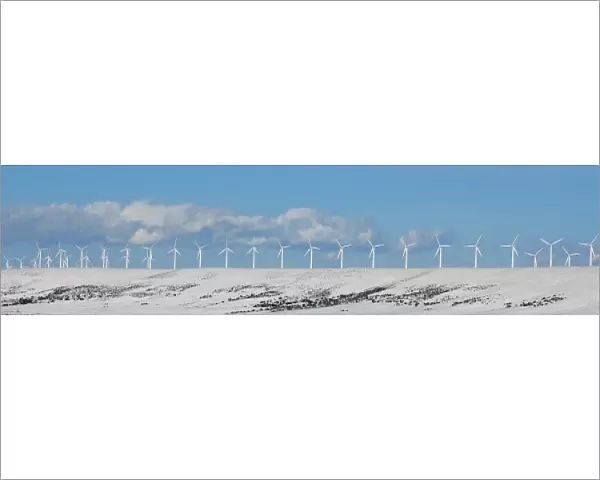 USA, Wyoming, Foote Creek Rim. Row of wind turbines in snow