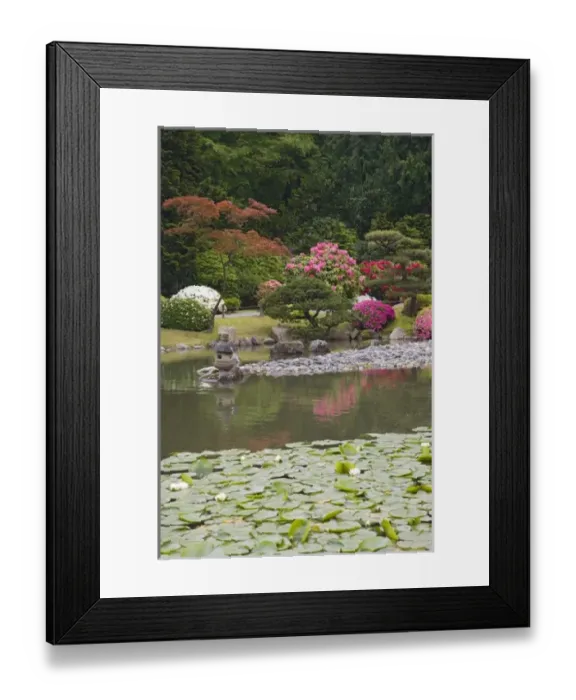 Framed Print : USA, North America, Washington
