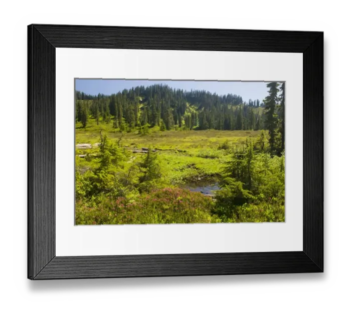 Framed Print : USA, North America, Washington