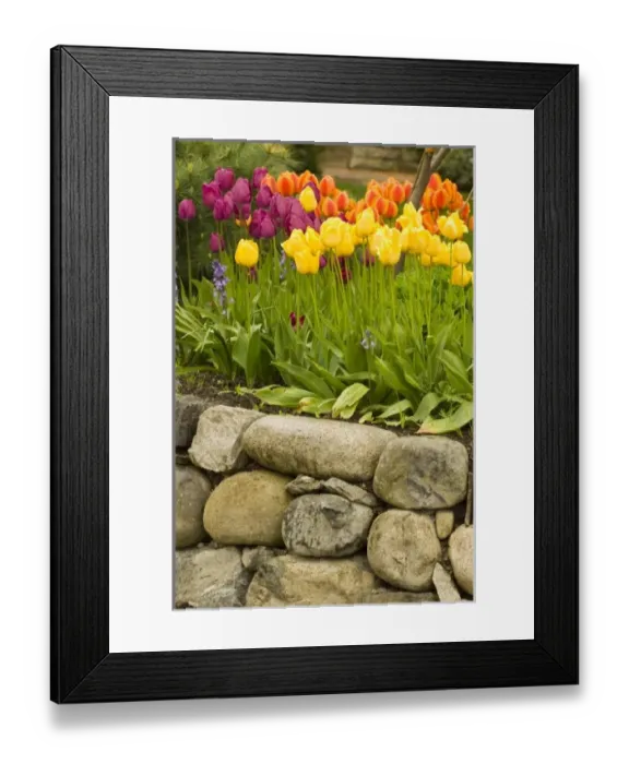 Framed Print : USA, North America, Washington Framed Print : USA, North America, Washington