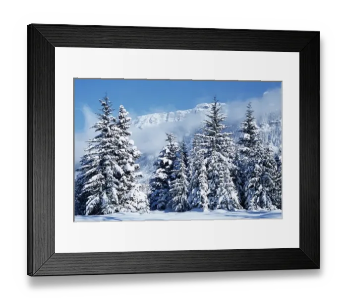 Framed Print : WA, Mt. Baker Snoqualmie NF, Gold Creek Basin, snow covered trees Framed Print : WA, Mt. Baker Snoqualmie NF, Gold Creek Basin, snow covered trees