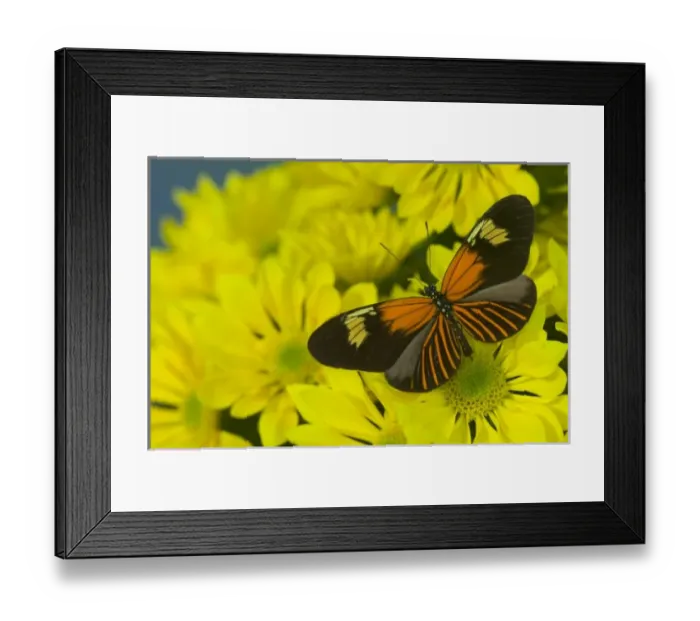 Framed Print : USA, North America, Washington Framed Print : USA, North America, Washington