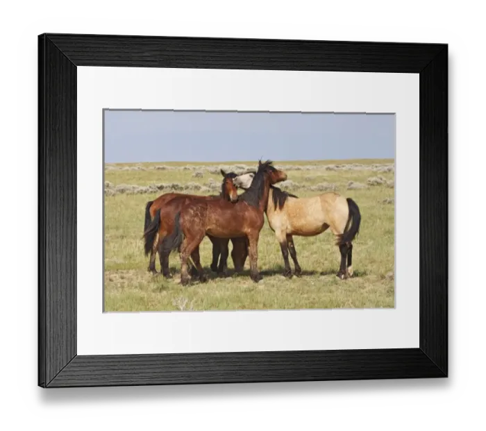 Framed Print : USA, North America, Wyoming Framed Print : USA, North America, Wyoming