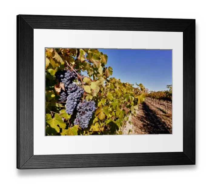 Framed Print : USA, North America, Washington Framed Print : USA, North America, Washington