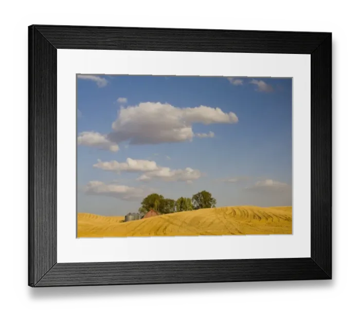 Framed Print : WA, Whitman County, The Palouse, Barn with grain silos and harvested wheat field