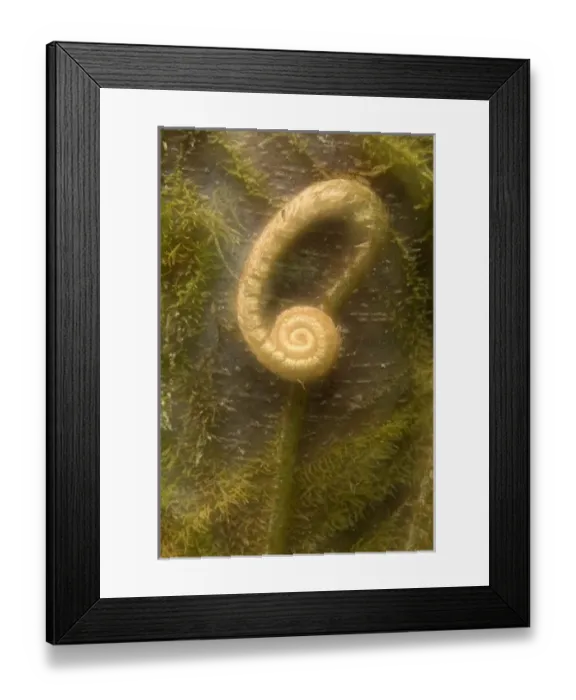 Framed Print : USA, North America, Washington