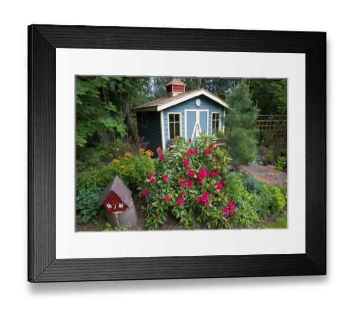 Framed Print : Garden Shed surrounded by flowers in our garden - Sammamish, Washington