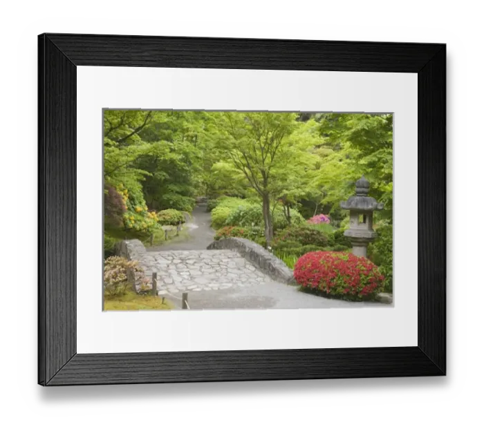 Framed Print : USA, North America, Washington Framed Print : USA, North America, Washington