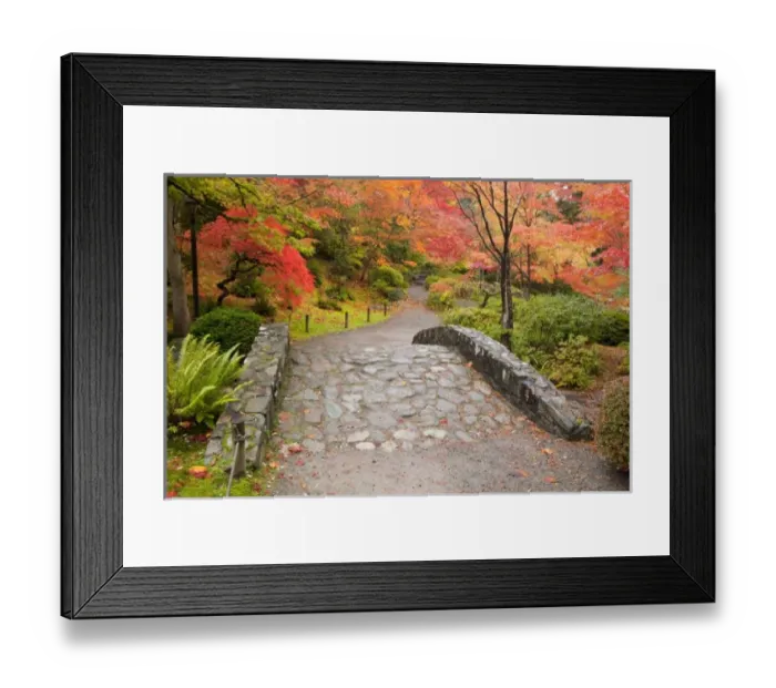 Framed Print : WA, Seattle, Washington Park Arboretum, Japanese Garden, with autumn color Framed Print : WA, Seattle, Washington Park Arboretum, Japanese Garden, with autumn color