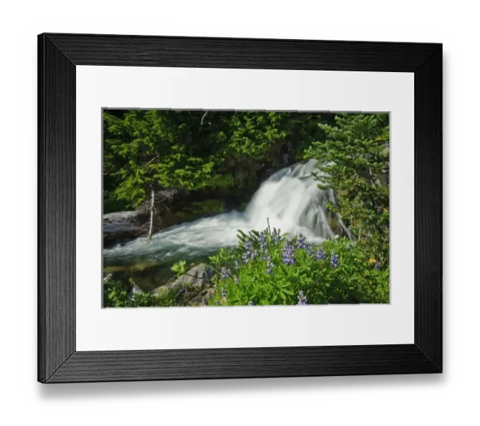 Framed Print : USA, Washington, Mt. Rainier Framed Print : USA, Washington, Mt. Rainier