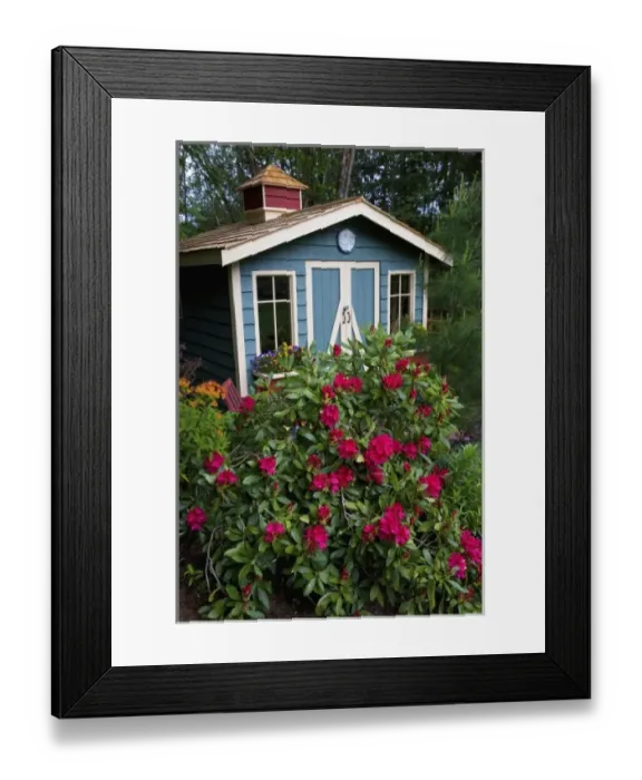 Framed Print : Garden Shed surrounded by flowers in our garden - Sammamish, Washington