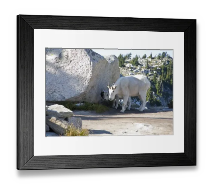 Framed Print : USA, North America, Washington Framed Print : USA, North America, Washington