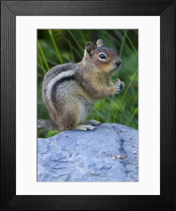Framed Print : USA, North America, Washington Framed Print : USA, North America, Washington
