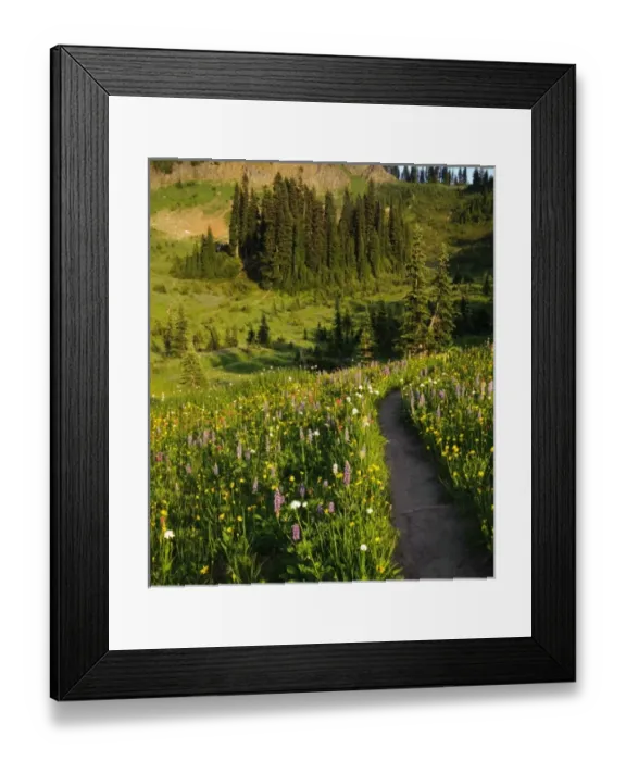 Framed Print : USA, North America, Washington Framed Print : USA, North America, Washington