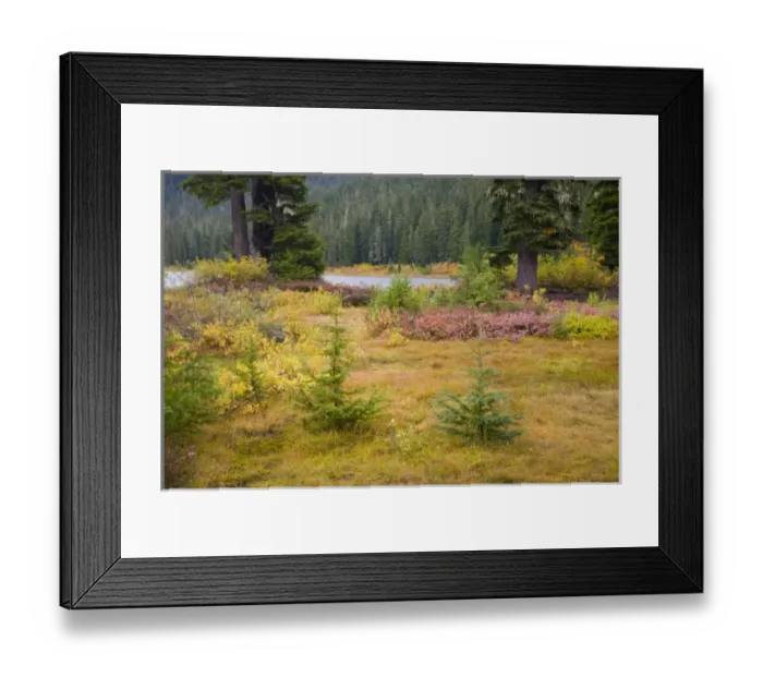 Framed Print : USA, North America, Washington Framed Print : USA, North America, Washington