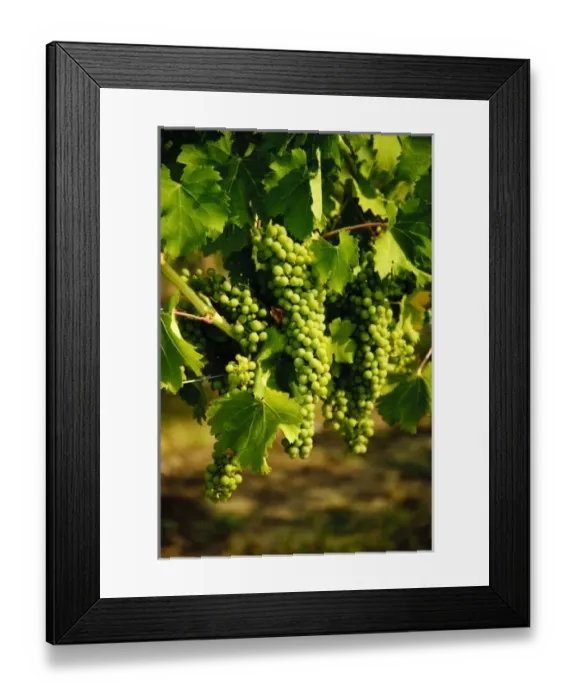 Framed Print : USA, North America, Washington Framed Print : USA, North America, Washington