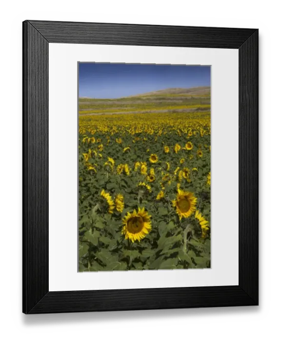Framed Print : USA, North America, Nebraska