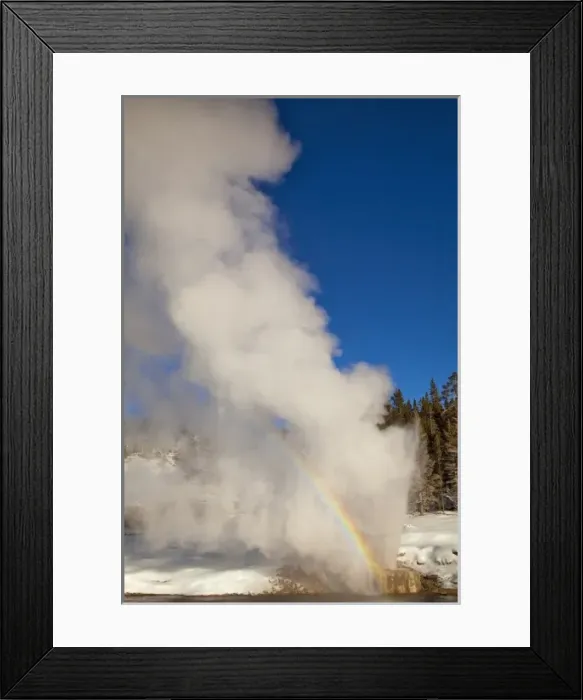 Framed Print : Riverside Geyser erupts along the Firehole River on a nice sunny winter day in Yellowstone