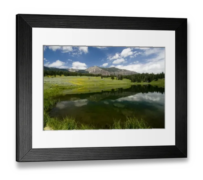 Framed Print : Trout Lake in Yellowstone National Park Framed Print : Trout Lake in Yellowstone National Park