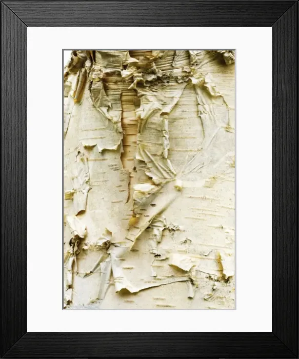 Framed Print : USA, North America, Washington
