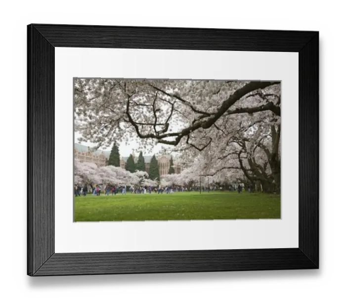 Framed Print : USA, North America, Washington