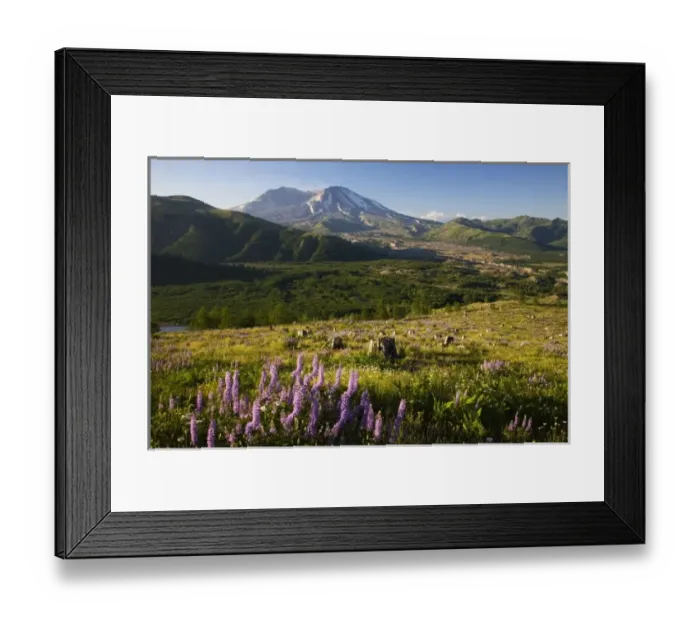 Framed Print : USA, North America, Washington Framed Print : USA, North America, Washington