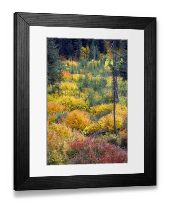 Framed Print : USA, North America, Washington Framed Print : USA, North America, Washington