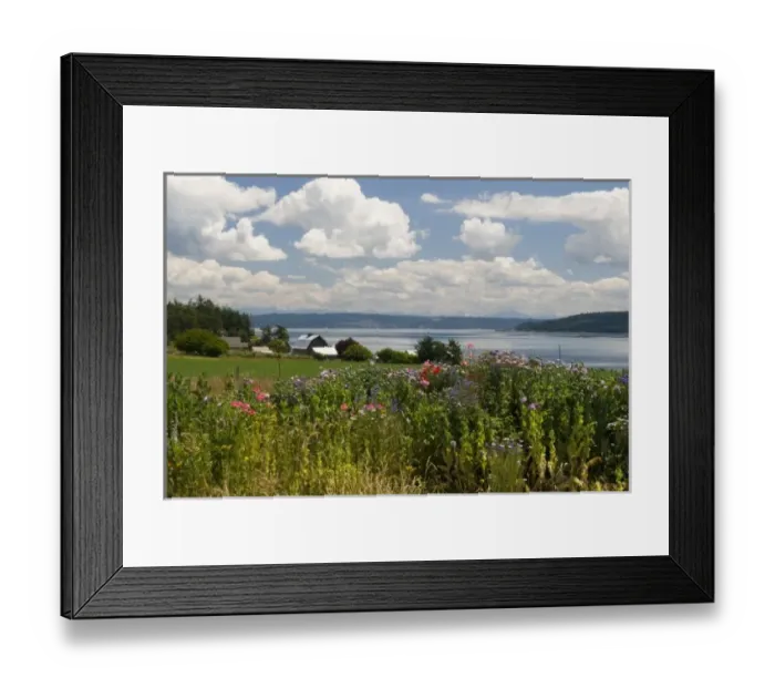 Framed Print : USA, WA, Island County, Whidbey Island. Spectacular spring day Penn Cove with view to Camano Island Framed Print : USA, WA, Island County, Whidbey Island. Spectacular spring day Penn Cove with view to Camano Island