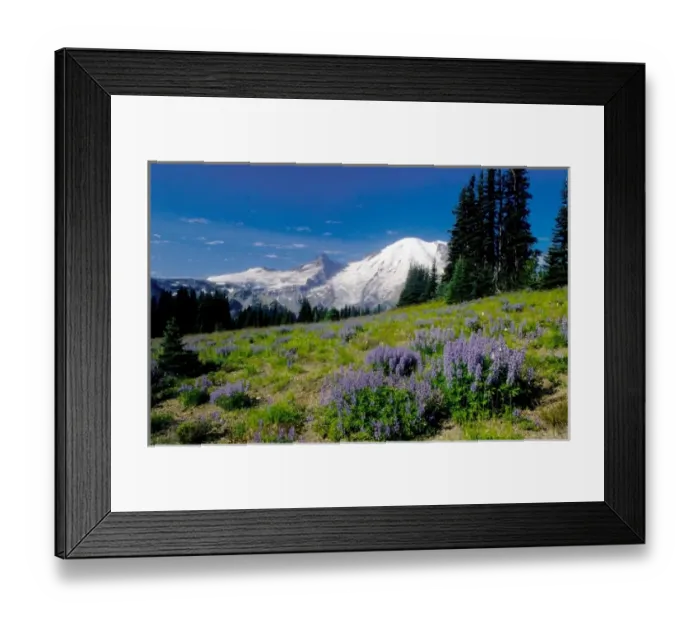 Framed Print : USA, Washington, Mt. Rainier National Park