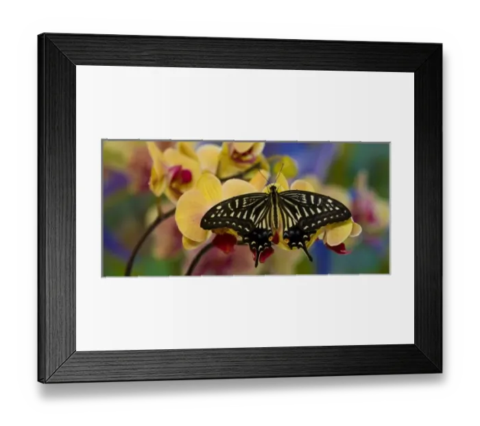 Framed Print : USA, North America, Washington Framed Print : USA, North America, Washington