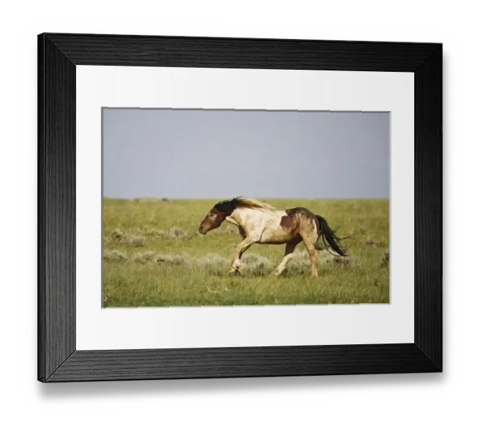 Framed Print : USA, North America, Wyoming Framed Print : USA, North America, Wyoming