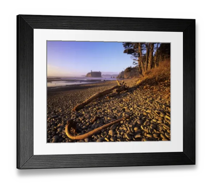 Framed Print : WA, Olympic NP, Ruby Beach