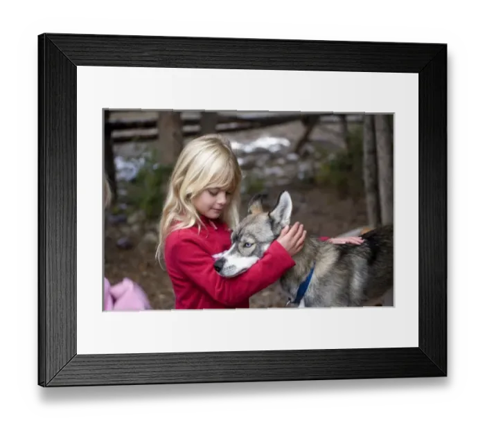 Framed Print : USA. Wyoming. Grand Tetons National Park. Young girl pets Husky puppy. (MR)